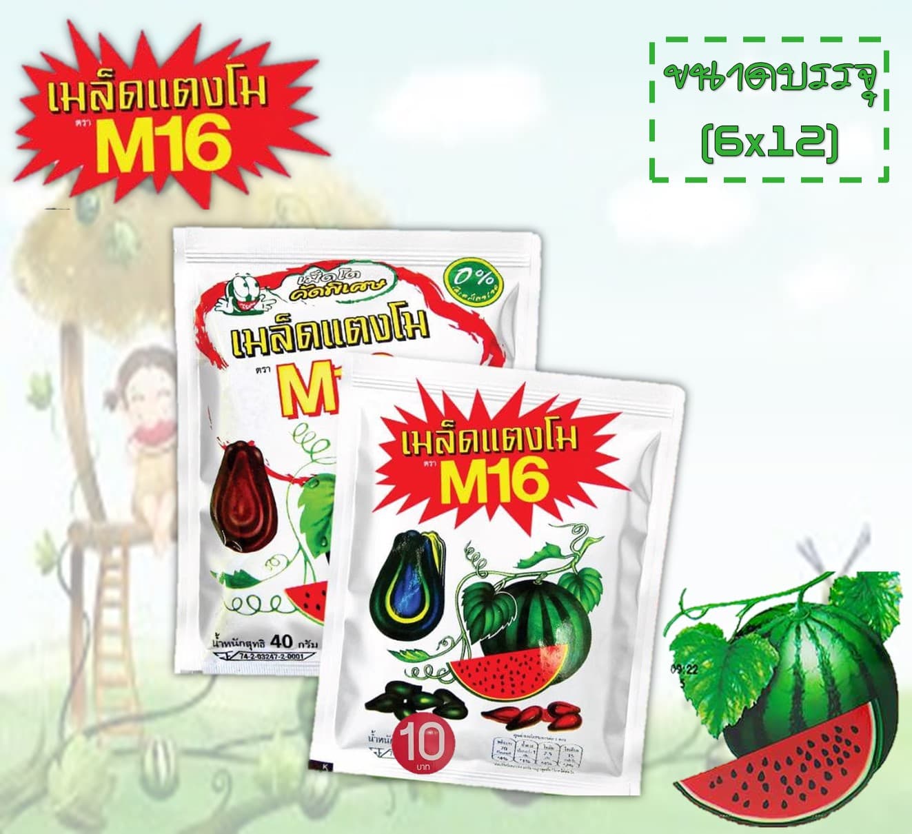 เมล็ดแตงโม 10 บาท (ตราM16)
